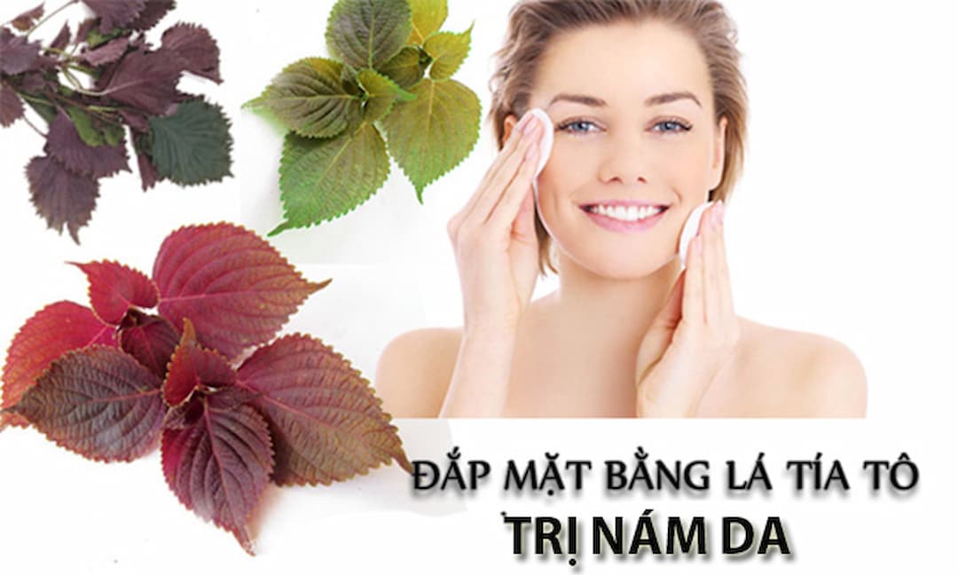 Cách trị nám gò má tại nhà bằng tía tô