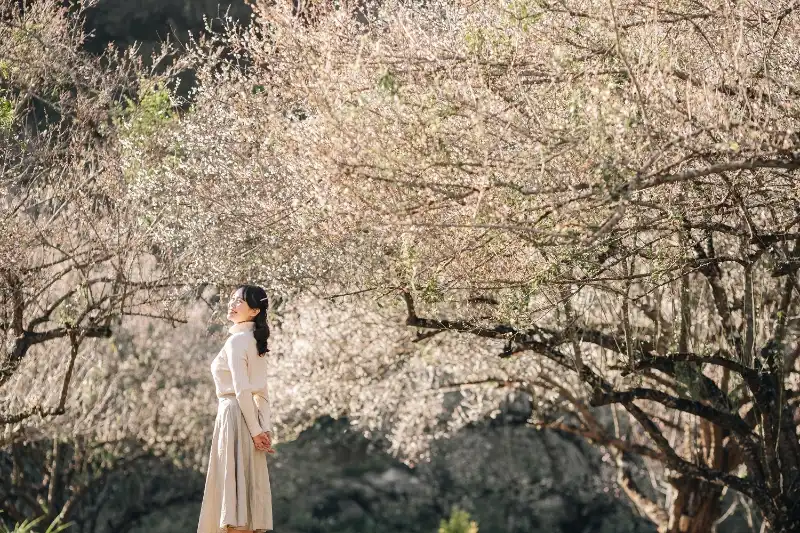 Đi Mộc Châu mùa nào cũng đẹp