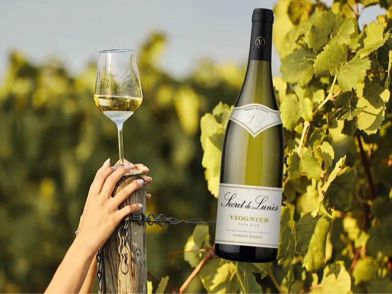 Khi uống vang trắng, nên nhấp từng ngụm nhỏ