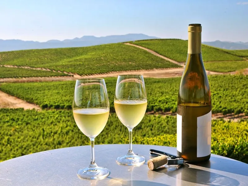 Vang trắng được làm ra để uống khi còn trẻ